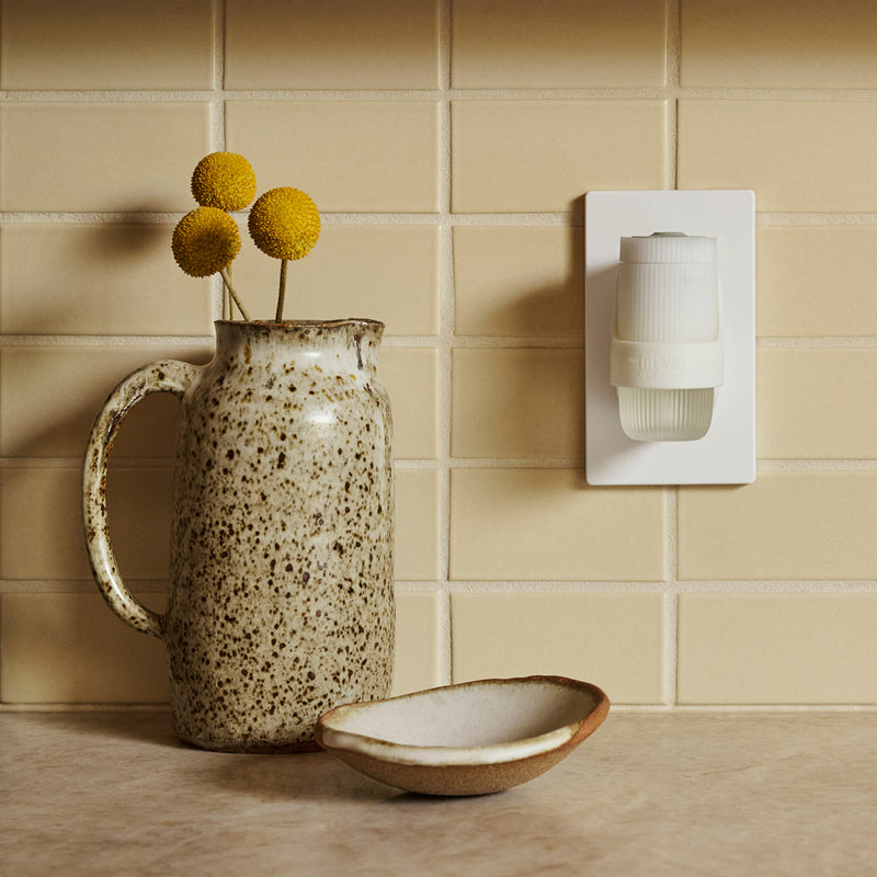 Apple Cider Plug In Scented Warmer With Refill