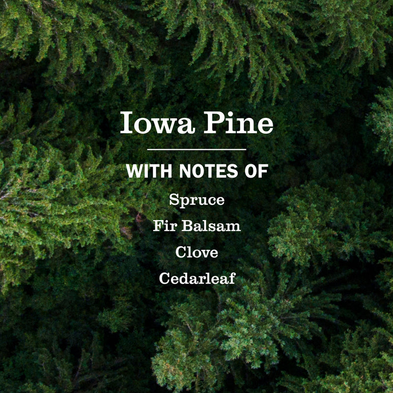 Mrs. Meyer's Iowa Pine Dish Soap